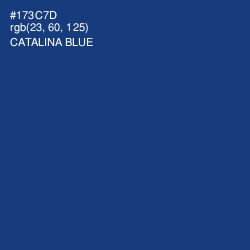 #173C7D - Catalina Blue Color Image